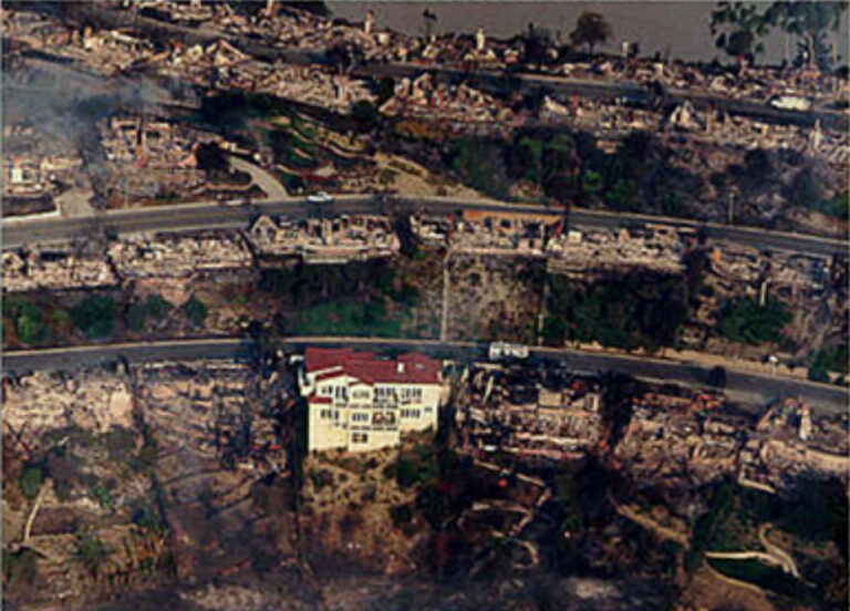 International FireShield, Inc.